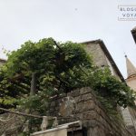 blog-voyage-montenegro-budva-16