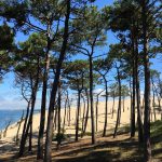 Dune du Pilat - Blog voyage