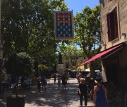 aigues-mortes-vues-aeriennes-12