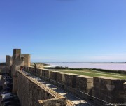 aigues-mortes-vues-aeriennes-18