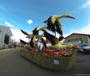 corso-fleuri-selestat-tourisme-alsace-1
