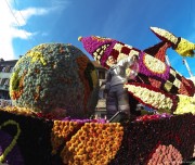 corso-fleuri-selestat-tourisme-alsace-10
