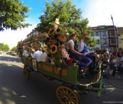 corso-fleuri-selestat-tourisme-alsace-2