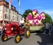 corso-fleuri-selestat-tourisme-alsace-21