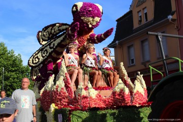 corso-fleuri-selestat-tourisme-alsace-23