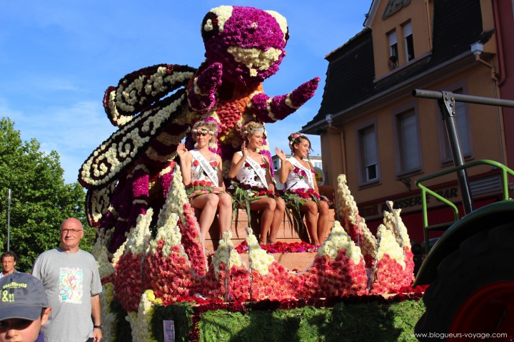 corso-fleuri-selestat-tourisme-alsace-23