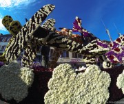 corso-fleuri-selestat-tourisme-alsace-4