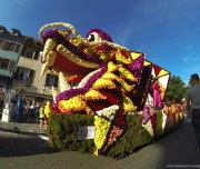 corso-fleuri-selestat-tourisme-alsace-5