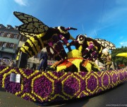 corso-fleuri-selestat-tourisme-alsace-7