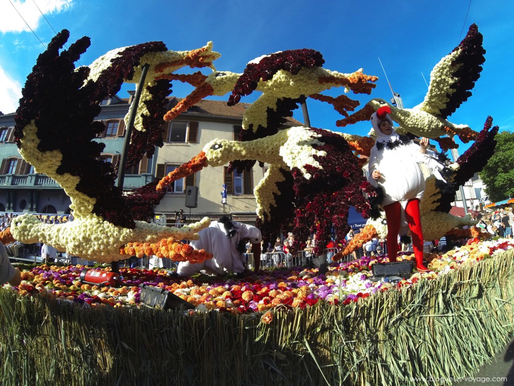 corso-fleuri-selestat-tourisme-alsace-9