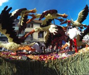 corso-fleuri-selestat-tourisme-alsace-9