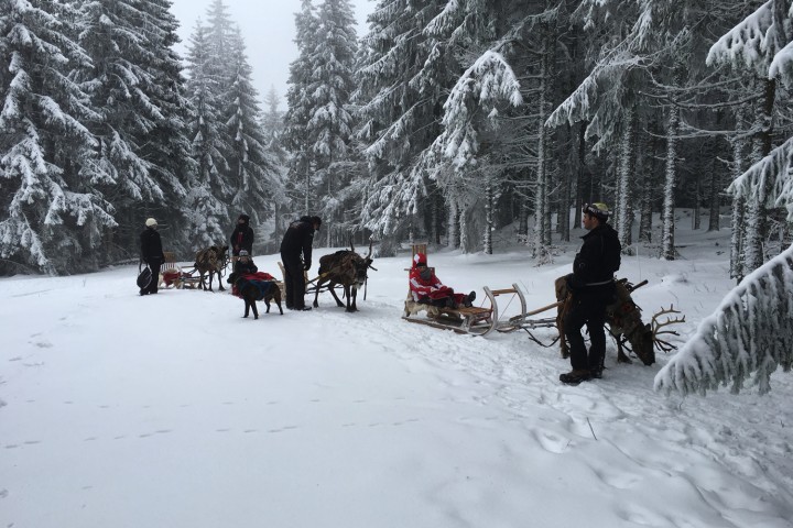 voyage-lac-blanc-vosges-10