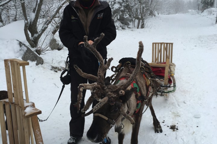voyage-lac-blanc-vosges-11