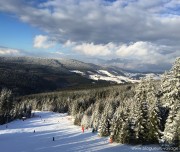 voyage-lac-blanc-vosges-27