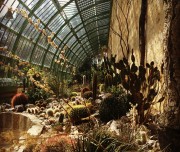 voyage-montpellier-tourisme-27