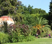 voyage-montpellier-tourisme-41
