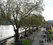 voyage-londres-tourisme-43