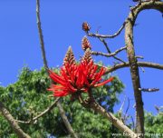 Blog-voyage-lisbonne-portugal-b-11