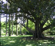 Blog-voyage-lisbonne-portugal-b-13