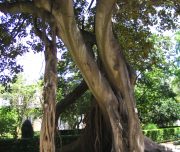 Blog-voyage-lisbonne-portugal-b-140