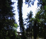 Blog-voyage-lisbonne-portugal-b-145