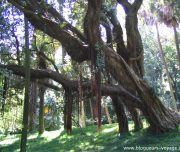 Blog-voyage-lisbonne-portugal-b-147