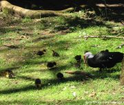 Blog-voyage-lisbonne-portugal-b-15