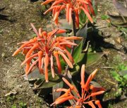 Blog-voyage-lisbonne-portugal-b-156
