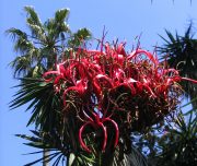 Blog-voyage-lisbonne-portugal-b-157
