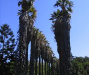 Blog-voyage-lisbonne-portugal-b-9