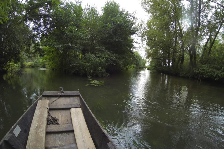 balade-barque-grand-ried-alsace-1