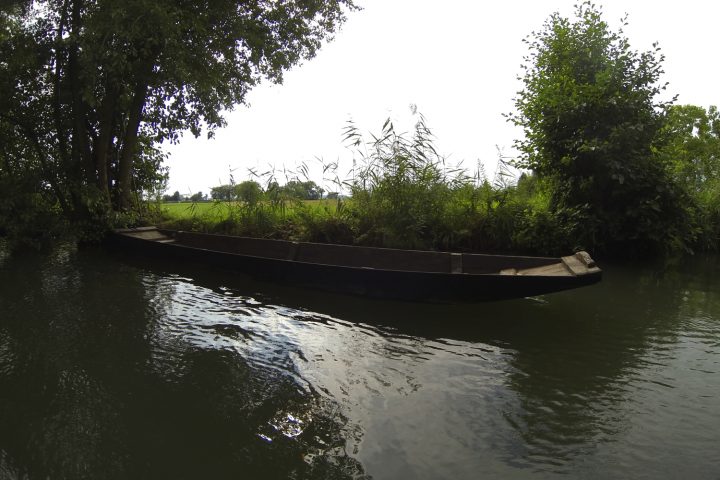balade-barque-grand-ried-alsace-2