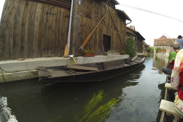 balade-barque-grand-ried-alsace-3