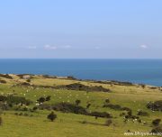 cap-gris-blanc-nez-blog-voyage-13