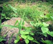 ferme-aventure-blog-voyage-21