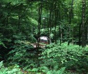 ferme-aventure-blog-voyage-3