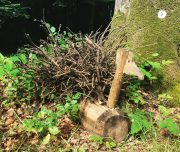 ferme-aventure-blog-voyage-30