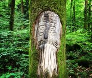 ferme-aventure-blog-voyage-42