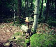 ferme-aventure-blog-voyage-46