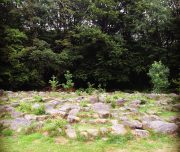 ferme-aventure-blog-voyage-49
