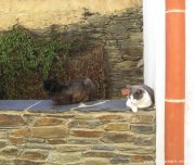 catalogne-cadaques-blog-voyage-25