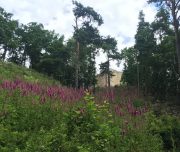 chateau-hohlandsbourg-blog-voyages-1
