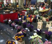 blog-voyage-provence-france-371