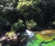 blog-voyage-provence-france-432