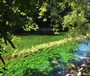 blog-voyage-provence-france-443