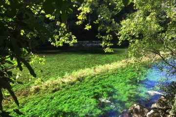 blog-voyage-provence-france-443