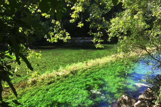 blog-voyage-provence-france-443