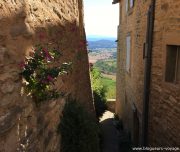 Boulangerie Mamie Jane à Gordes