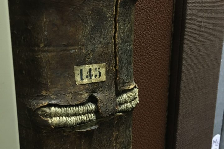 visite-bibliotheque-colmar-2-11