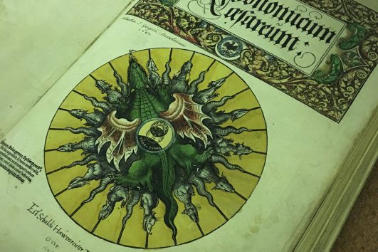 visite-bibliotheque-colmar-2-6